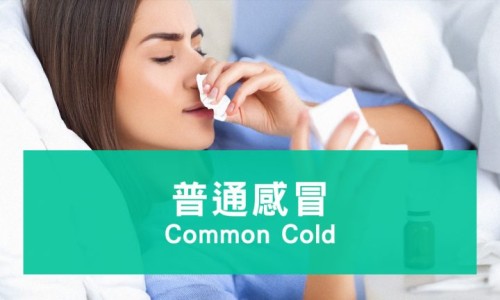 柴桂能退烧吗-柴桂退烧效果好吗网 :分享柴桂退热是风寒还是风热-柴桂退热颗粒的功效与作用知识