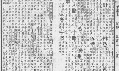 柴桂是退低烧还是高烧-柴桂退烧效果好吗网 :分享柴桂退热是风寒还是风热-柴桂退热颗粒的功效与作用知识