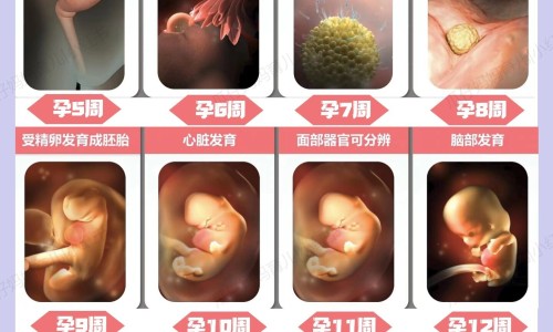 柴桂能退烧吗-柴桂退烧效果好吗网 :分享柴桂退热是风寒还是风热-柴桂退热颗粒的功效与作用知识