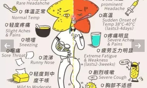 柴桂能退烧吗-柴桂退烧效果好吗网 :分享柴桂退热是风寒还是风热-柴桂退热颗粒的功效与作用知识